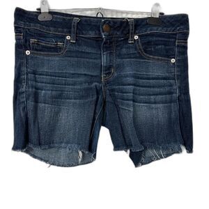 American-eagle-outfitters Women's Blue and Navy Shorts